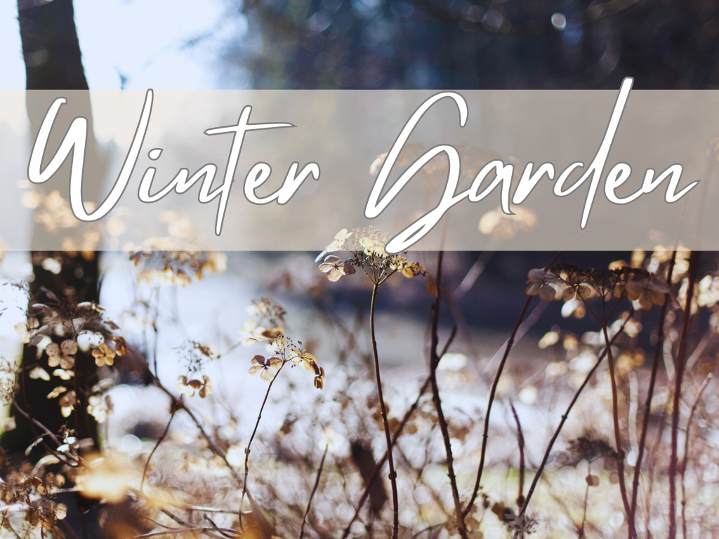 Winter Garden